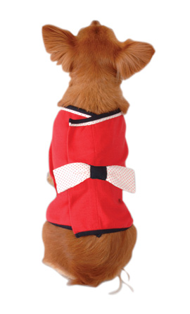 Photo: Pet Jacket